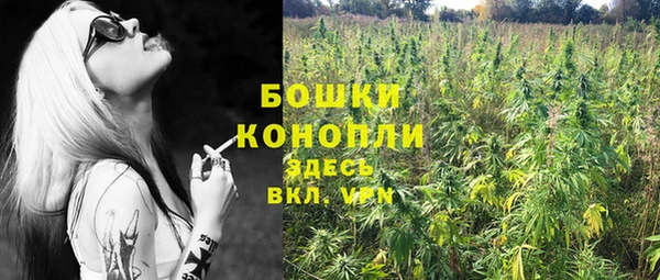 не бодяженный Корсаков