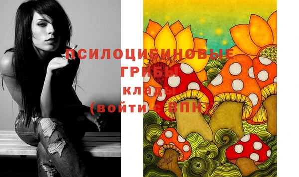 не бодяженный Корсаков
