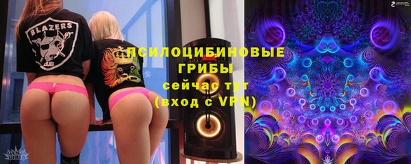 MESCALINE Коряжма