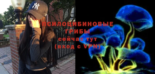 MESCALINE Коряжма