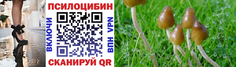 Псилоцибиновые грибы Cubensis Купить где Соль-Илецк
